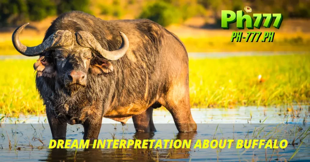 Dream Interpretation About Buffalo