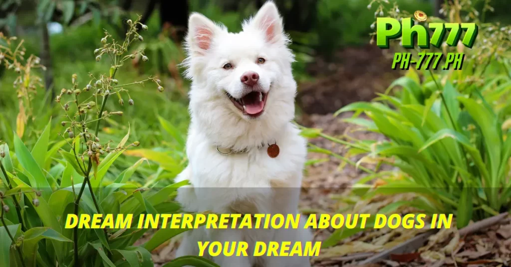 Dream Interpretation About Dogs in Your Dream