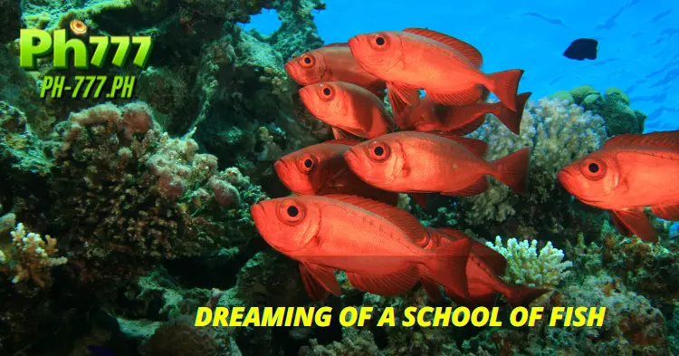 Dreaming of a School of Fish