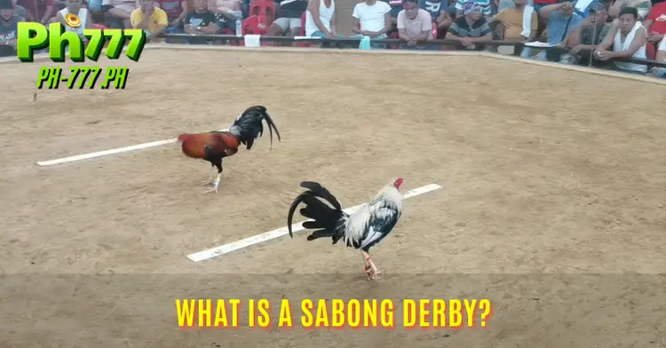 What is a Sabong Derby