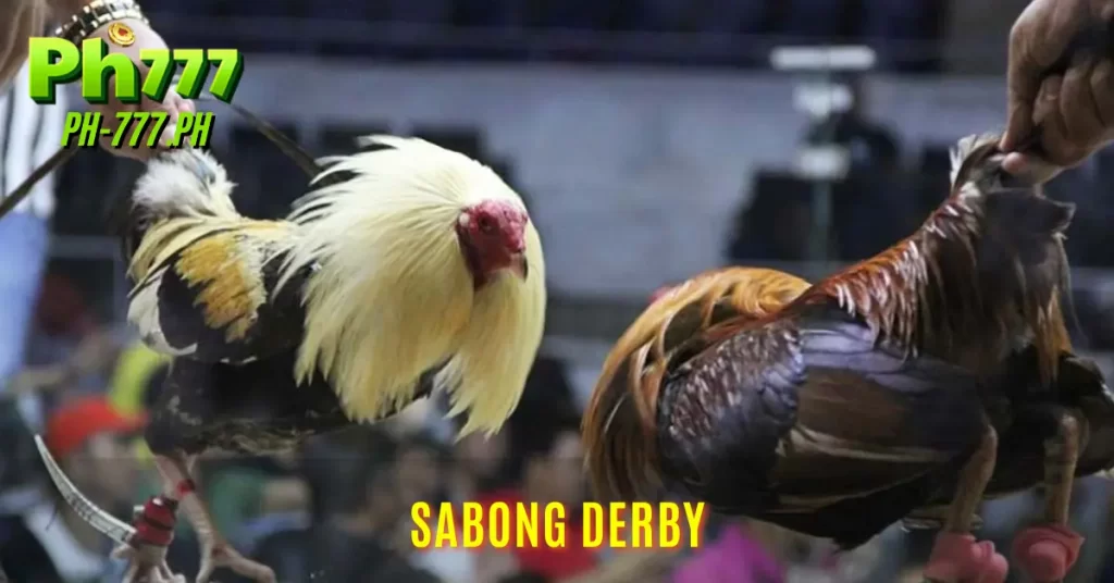 sabong derby